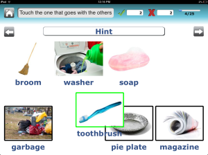 Classify--if the patient or I had hit the "hint" button, it would have provided the category to help the patient reason through which of the bottom pictures to select.